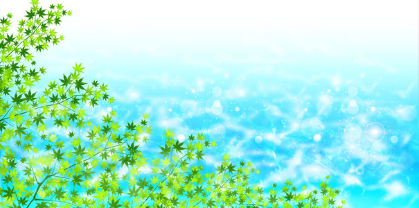 叶槭树海
