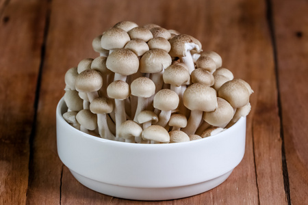 新鲜蘑菇