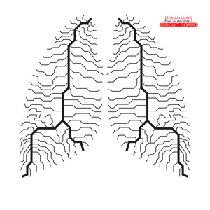 人类的肺。电路板。矢量图。Eps 10
