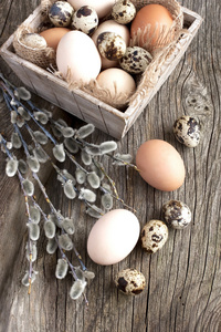 新鲜的鸡蛋。复活节主题