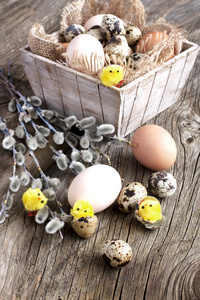 新鲜的鸡蛋。复活节主题