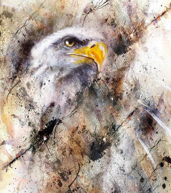 老鹰在抽象的背景下,现货的结构与颜色的幅美丽的画