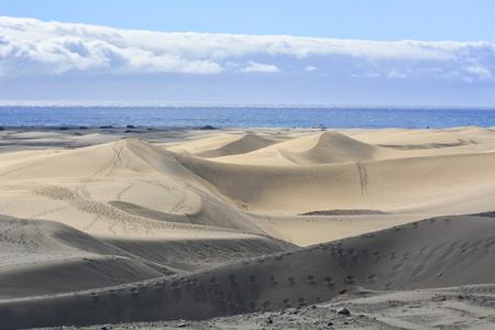 沙丘的马斯帕洛马斯在西班牙加那利群岛的大加那利岛