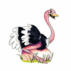 动物鸵鸟蛋图片