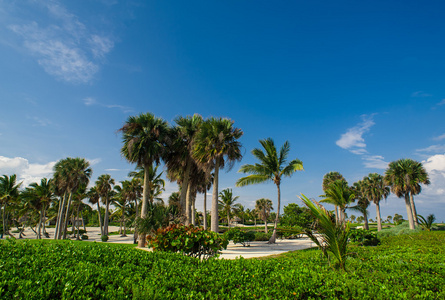 高尔夫球场在热带天堂。夏季假日在多米尼加共和国