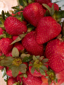 成熟的新鲜草莓