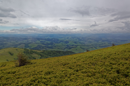 山上的草地。山风景