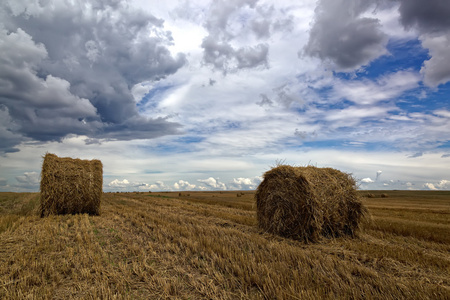 收获的小麦领域与干草卷和暴风雨的天空