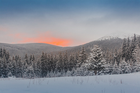 冬天，雪风景