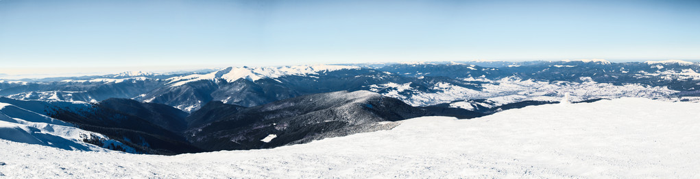 冬天 全景 冷杉 雪 景观 山