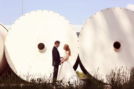 新娘和新郎构成建筑背景