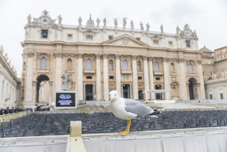 在圣伯多禄广场附近与 Cathedral.Vatican.Rome 鸥