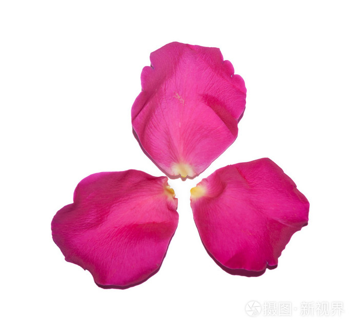 三个玫瑰花瓣