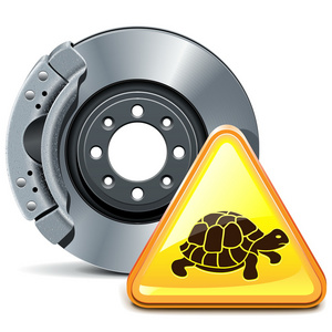 灰色的乌龟图片