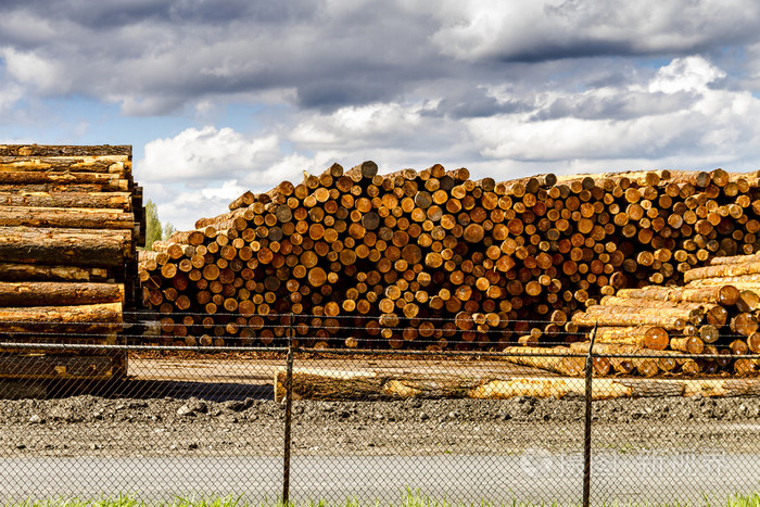 测井行业贮木场