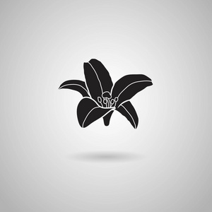 黑百合花卉图标