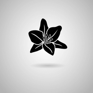 百合图标图片大全