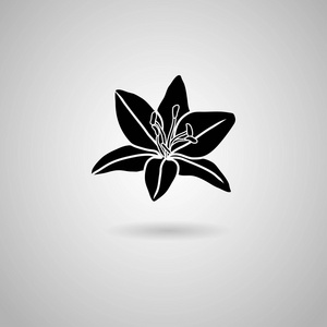 黑百合花卉图标