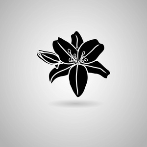 百合图标图片大全