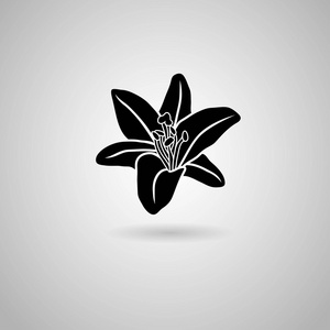 百合花卉图标.睡莲,睡莲花香符号.圆圈平标志与长长的阴影.