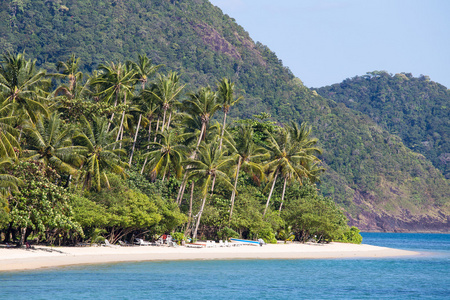 热带海滩有异国情调的棕榈树上 sand.thailand