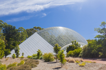巨大的现代温室