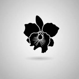 兰花的图标图片