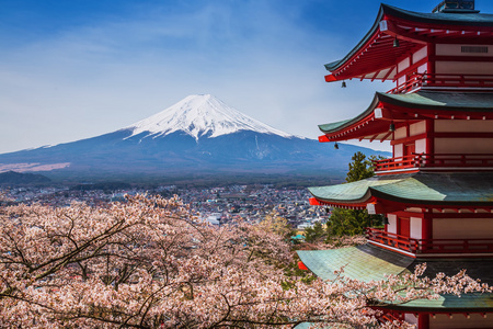 Chureito 宝塔与樱花  富士山美景