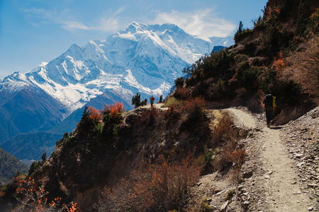 如画的风景，在尼泊尔的安纳布尔纳山的道路上。安纳布尔纳徒步路径