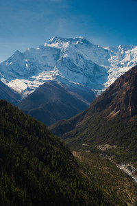 如画的风景，在尼泊尔的安纳布尔纳山的道路上。安纳布尔纳徒步路径