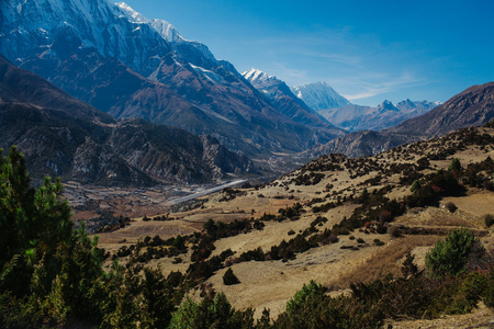 如画的风景，在尼泊尔的安纳布尔纳山的道路上。安纳布尔纳徒步路径