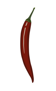 红辣椒。矢量图