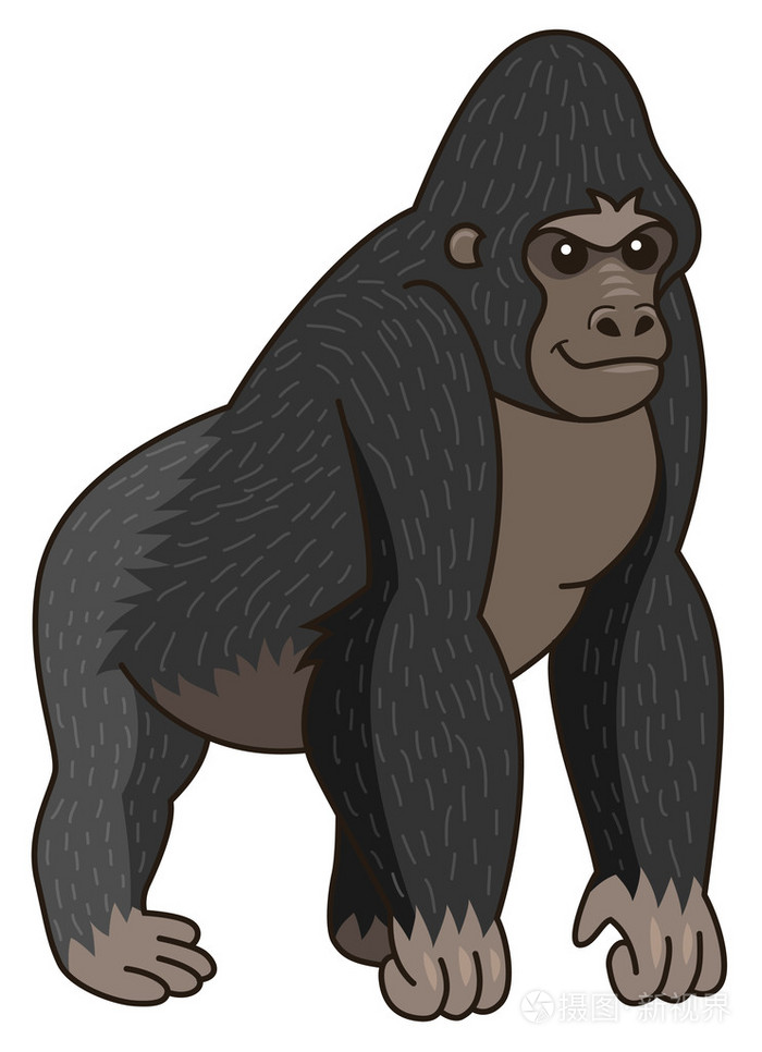黑色的非洲大猩猩,卡通人物插画-正版商用图片1iyvcx-摄图新视界