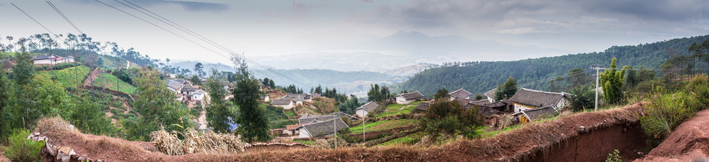 乡村景观与字段和房子