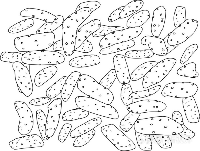 卡通芝麻棍棒的轮廓插画-正版商用图片1iz0bc-摄图新视界