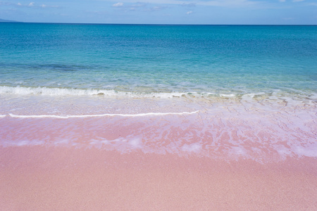 粉红色的海岸在晴朗的日子
