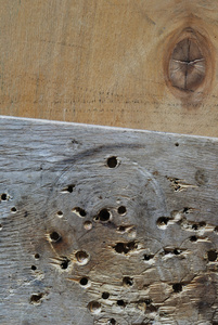 两个木材纹理背景