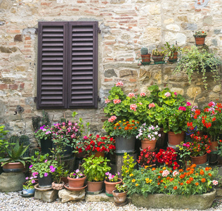 Monte FioralleChianti Tuscany