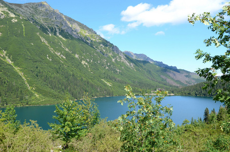 在山中湖