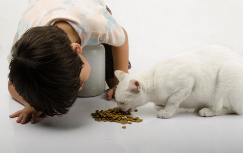 小男孩给猫的食物