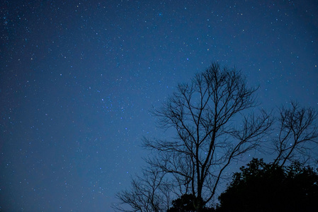 星在夜空上