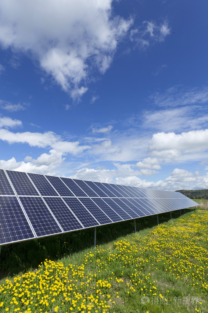 在春季开花草甸上的太阳能电站
