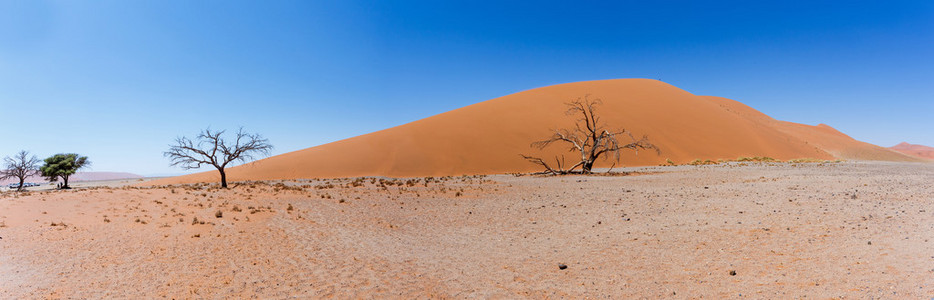 在 sossusvlei 纳米比亚的沙丘 45 宽全景