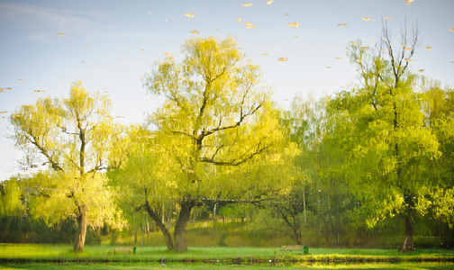 黄色和绿色的树自然景观反射湖