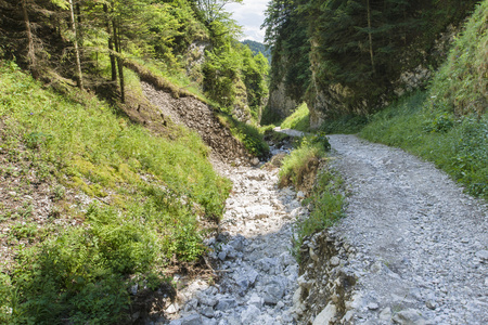 青藏高山深谷图片