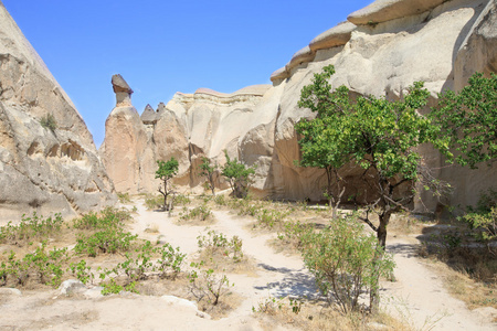 在 capadocia 的岩石群