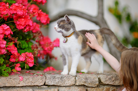 白红色的猫躺在不积极的可爱的小女孩和一只猫在户外照片