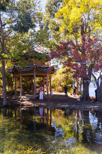 秋天的树林包围的湖水清澈图片