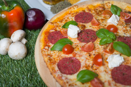 烤意大利比萨奶酪，蔬菜，肉，草药在草地上