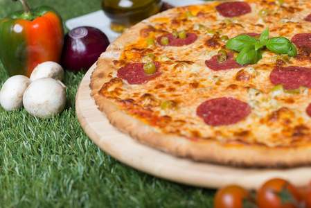 烤意大利比萨奶酪，蔬菜，肉，草药在草地上